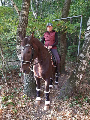 Конная прогулка в Калининграде. Подарочные сертификаты Ultra Подарки. Купить оригинальный подарок или подарочный сертификат на Конная прогулка в Калининграде. Сервис UltraPodarki.ru 8-800-505-9530. Катание на лошадях, Прогулка на лошади, Прогулка на лошадях для двоих, Конная прогулка, конный клуб, конная прогулка, конная прогулка в Калининграде, семейная конная прогулка