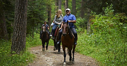 Конная прогулка