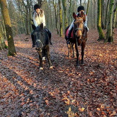 Конная прогулка в Калининграде. Подарочные сертификаты Ultra Подарки. Купить оригинальный подарок или подарочный сертификат на Конная прогулка в Калининграде. Сервис UltraPodarki.ru 8-800-505-9530. Катание на лошадях, Прогулка на лошади, Прогулка на лошадях для двоих, Конная прогулка, конный клуб, конная прогулка, конная прогулка в Калининграде, семейная конная прогулка