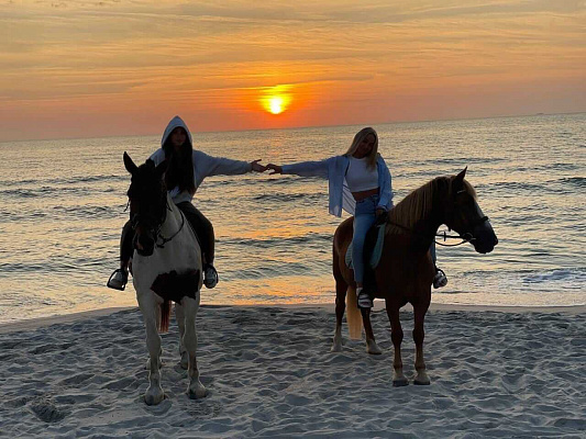 Конная прогулка в Калининграде. Подарочные сертификаты Ultra Подарки. Купить оригинальный подарок или подарочный сертификат на Конная прогулка в Калининграде. Сервис UltraPodarki.ru 8-800-505-9530. Катание на лошадях, Прогулка на лошади, Прогулка на лошадях для двоих, Конная прогулка, конный клуб, конная прогулка, конная прогулка в Калининграде, семейная конная прогулка