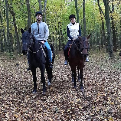 Верховая езда на лошадях в Калининграде. Подарочные сертификаты Ultra Подарки. Купить оригинальный подарок или подарочный сертификат на Верховая езда на лошадях в Калининграде. Сервис UltraPodarki.ru 8-800-505-9530. Катание на лошадях, Прогулка на лошади, Прогулка на лошадях для двоих, Верховая езда на лошадях, конный клуб, Конный клуб Гиппа, конная прогулка, конная прогулка в Калининграде