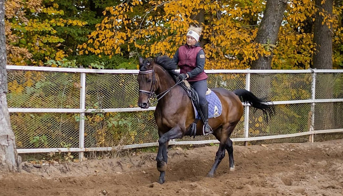 Верховая езда на лошадях в Калининграде. Подарочные сертификаты Ultra Подарки. Купить оригинальный подарок или подарочный сертификат на Верховая езда на лошадях в Калининграде. Сервис UltraPodarki.ru 8-800-505-9530. Катание на лошадях, Прогулка на лошади, Прогулка на лошадях для двоих, Верховая езда на лошадях, конный клуб, Конный клуб Гиппа, конная прогулка, конная прогулка в Калининграде
