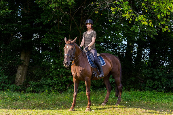 Верховая езда на лошадях в Калининграде. Подарочные сертификаты Ultra Подарки. Купить оригинальный подарок или подарочный сертификат на Верховая езда на лошадях в Калининграде. Сервис UltraPodarki.ru 8-800-505-9530. Катание на лошадях, Прогулка на лошади, Прогулка на лошадях для двоих, Верховая езда на лошадях, конный клуб, Конный клуб Гиппа, конная прогулка, конная прогулка в Калининграде