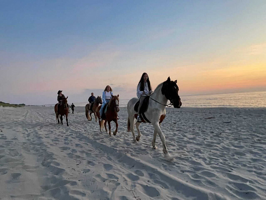 Конная прогулка в Калининграде. Подарочные сертификаты Ultra Подарки. Купить оригинальный подарок или подарочный сертификат на Конная прогулка в Калининграде. Сервис UltraPodarki.ru 8-800-505-9530. Катание на лошадях, Прогулка на лошади, Прогулка на лошадях для двоих, Конная прогулка, конный клуб, конная прогулка, конная прогулка в Калининграде, семейная конная прогулка