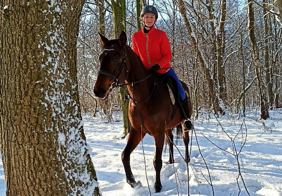 Конная прогулка в Калининграде. Подарочные сертификаты Ultra Подарки. Купить оригинальный подарок или подарочный сертификат на Конная прогулка в Калининграде. Сервис UltraPodarki.ru 8-800-505-9530. Катание на лошадях, Прогулка на лошади, Прогулка на лошадях для двоих, Конная прогулка, конный клуб, конная прогулка, конная прогулка в Калининграде, семейная конная прогулка
