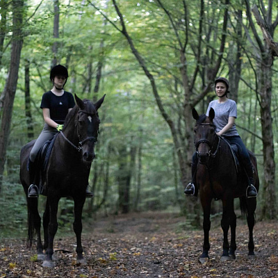 Конная прогулка в Калининграде. Подарочные сертификаты Ultra Подарки. Купить оригинальный подарок или подарочный сертификат на Конная прогулка в Калининграде. Сервис UltraPodarki.ru 8-800-505-9530. Катание на лошадях, Прогулка на лошади, Прогулка на лошадях для двоих, Конная прогулка, конный клуб, конная прогулка, конная прогулка в Калининграде, семейная конная прогулка