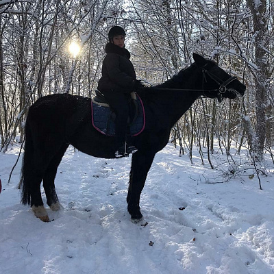 Конная прогулка в Калининграде. Подарочные сертификаты Ultra Подарки. Купить оригинальный подарок или подарочный сертификат на Конная прогулка в Калининграде. Сервис UltraPodarki.ru 8-800-505-9530. Катание на лошадях, Прогулка на лошади, Прогулка на лошадях для двоих, Конная прогулка, конный клуб, конная прогулка, конная прогулка в Калининграде, семейная конная прогулка