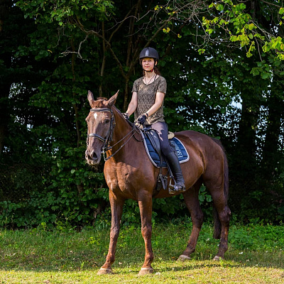 Верховая езда на лошадях в Калининграде. Подарочные сертификаты Ultra Подарки. Купить оригинальный подарок или подарочный сертификат на Верховая езда на лошадях в Калининграде. Сервис UltraPodarki.ru 8-800-505-9530. Катание на лошадях, Прогулка на лошади, Прогулка на лошадях для двоих, Верховая езда на лошадях, конный клуб, Конный клуб Гиппа, конная прогулка, конная прогулка в Калининграде