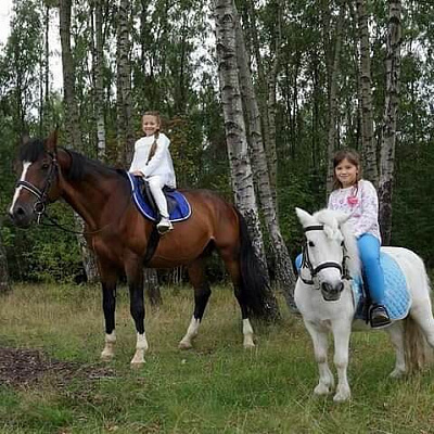 Конная прогулка в Калининграде. Подарочные сертификаты Ultra Подарки. Купить оригинальный подарок или подарочный сертификат на Конная прогулка в Калининграде. Сервис UltraPodarki.ru 8-800-505-9530. Катание на лошадях, Прогулка на лошади, Прогулка на лошадях для двоих, Конная прогулка, конный клуб, конная прогулка, конная прогулка в Калининграде, семейная конная прогулка