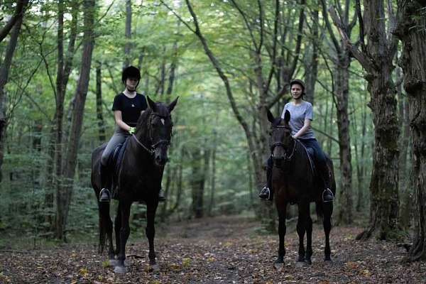 Конная прогулка для двоих с ужином в ресторане в Калининграде. Ultra Подарки. Купить оригинальный подарок или подарочный сертификат на эксклюзивную конную прогулку для двоих в Калининграде. Сервис UltraPodarki.ru 8-800-505-9530. Катание на лошадях, Прогулка на лошади, Прогулка на лошадях для двоих, Конная прогулка для двоих с ужином в ресторане, конный клуб, романтическая прогулка, конная прогулка, конная прогулка в Калининграде