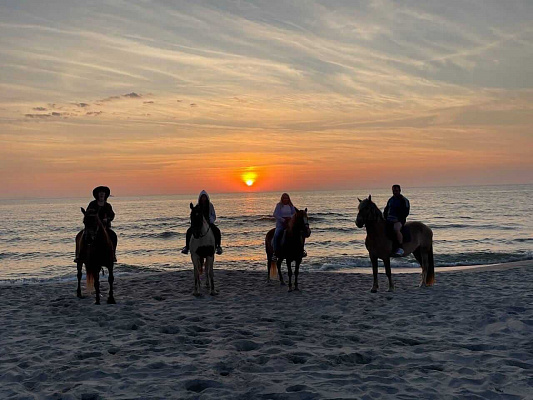 Конная прогулка в Калининграде. Подарочные сертификаты Ultra Подарки. Купить оригинальный подарок или подарочный сертификат на Конная прогулка в Калининграде. Сервис UltraPodarki.ru 8-800-505-9530. Катание на лошадях, Прогулка на лошади, Прогулка на лошадях для двоих, Конная прогулка, конный клуб, конная прогулка, конная прогулка в Калининграде, семейная конная прогулка