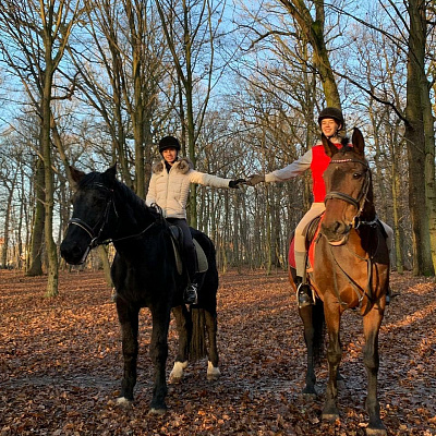 Верховая езда на лошадях в Калининграде. Подарочные сертификаты Ultra Подарки. Купить оригинальный подарок или подарочный сертификат на Верховая езда на лошадях в Калининграде. Сервис UltraPodarki.ru 8-800-505-9530. Катание на лошадях, Прогулка на лошади, Прогулка на лошадях для двоих, Верховая езда на лошадях, конный клуб, Конный клуб Гиппа, конная прогулка, конная прогулка в Калининграде